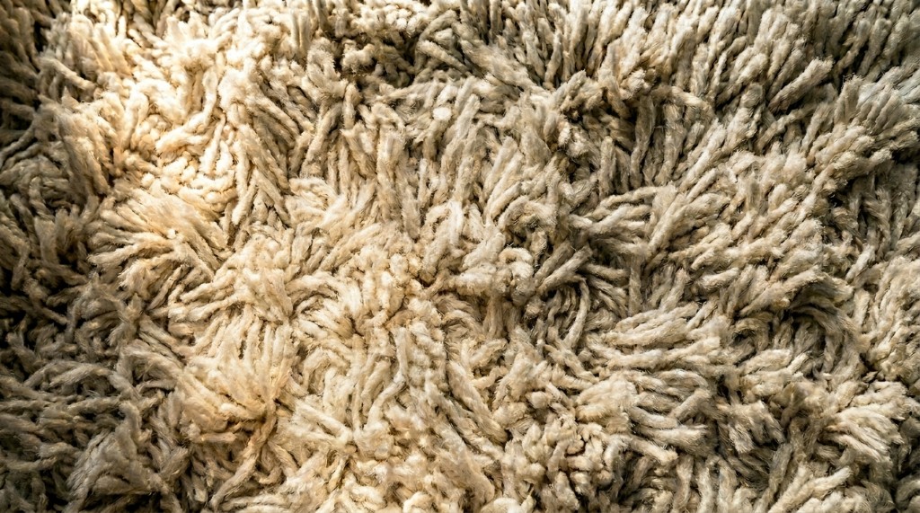Dirty carpet before cleaning